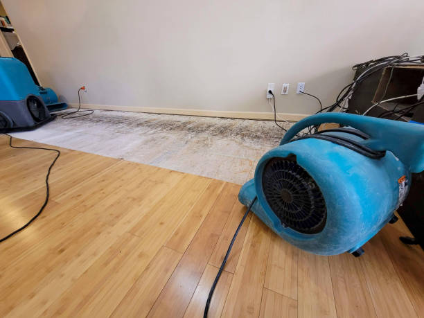 Professional Flood Damage Cleanup technician working in Wright City, MO